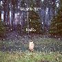 Brand New -《Daisy 》[MP3]