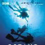 《BBC 海洋》(BBC Oceans)TLF-MiniSD[HDTVRip]