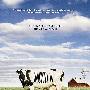 《食品公司》(Food, Inc.)[DVDScr]