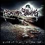 Assassinate the Following -《Massacre of the North》[MP3]