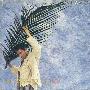 刘德华 -《答案就是妳》香港纸套版[MP3]