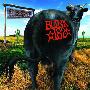 Blink-182 -《Dude Ranch》[FLAC]