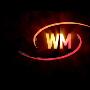 《我喜爱的魔兽世界PVP视频》[WMV]