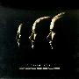 The Human League -《Octopus》[APE]