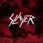 Slayer -《World Painted Blood》[MP3]