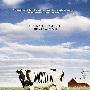 《食品公司》(Food, Inc.)[DVDRip]