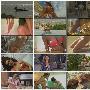 《2009体育画报泳装秀》(Sports Illustrated Swimsuit Issue)[720P]