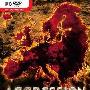 《侵略：统治欧洲》(Aggression - Reign over Europe)完整硬盘版/汉化补丁[压缩包]
