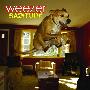Weezer -《The Weezer Raditude Club Week》iTunes Plus iTunes Pass [AAC] 更新 Week 4