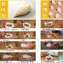 《中华美食面点制作全集》[压缩包]