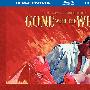 《乱世佳人》(Gone with the Wind)[720P]