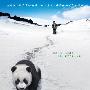 《熊猫回家路》(Touch Of The Panda )人人影视[RMVB]