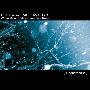 H.U.V.A. Network -《星历表》(Ephemeris)320K[MP3]