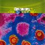 《探索频道 认识病毒》(Discovery Understanding Viruses)国英双语/中英文字幕[DVDRip]