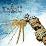 Twinspirits -《The Forbidden City》[MP3]