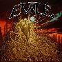Evile -《Infected Nation (Scene)》[MP3]
