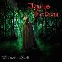 Ignis Fatuu -《Es werde Licht》[MP3]