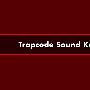 《Trapcode Soundkeys教学》(Trapcode Soundkeys)[压缩包]