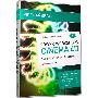 《Video2Brain Power-Workshops Cinema 4D R11 Vol.1》(Licht und Rendering)R11[光盘镜像]
