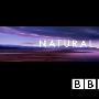 《BBC 自然世界 2009》(BBC Natural World 2009)更新Black Mamba, White Witch曼巴蛇/树眼镜蛇[PDTV][TVRip]
