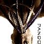 《深空失忆》(Pandorum)[DVDRip]