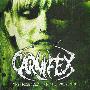 Carnifex -《The Diseased And The Poisoned》[MP3]