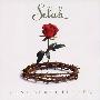 Selah -《Rose of Bethlehem》[MP3]