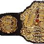 《UFC最佳比赛精选系列合辑更新》(UFC® : Ultimate Fighting Championship®)（更新于11/29 －2001年最佳精选赛事双碟版更新）[TVRip]