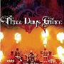 Three Days Grace -《Live At The Palace 2008》[DVDRip]