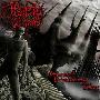 Heaps Of Dead -《Deceased Dismembered And Left To Decay》[MP3]