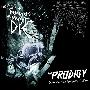 The Prodigy -《Remixers Must Die》[MP3]