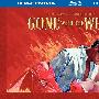 《乱世佳人》(Gone with the Wind)CHD联盟(国/英)[1080P]