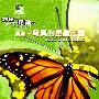 《动物星球 路德的昆虫世界 澳洲 奇异的昆虫王国》(Animal Planet Buggin with Ruud Aussie Attackers)[TVRip]