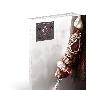 《刺客信条2官方攻略》(Assassins Creed II Official Guide)【PDF】[压缩包]