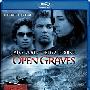 《棋盘游戏》(Open Graves)[BDRip]