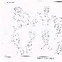 《动画分镜,背景及角色转面图》(Storyboard animation, background and the role of transfer surface map)JPG[压缩包]