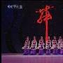 《交通银行杯第五届CCTV舞蹈大赛》[MP4]