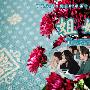 《姐妹》凤凰天使日剧社09年第13回冲击波/日语中字/更新01集[RMVB]