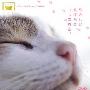 《猫咪物语1+2》(にゃんこ THE MOVIE)日语发音，中文字幕，RMVB[RMVB]