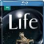 《BBC 生命》(Life)更新第一集/共十集[BDRip]