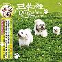 风潮唱片 -《当代音乐馆-宠物音乐系列-三狗组》(Doggie Trio)[APE+MP3][APE]