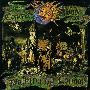 Concrete Blonde(金发异端) -《Walking in London》[分轨][FLAC]
