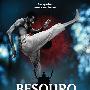 The Cold Rush -《Zerotonin》[MP3]