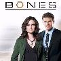 《识骨寻踪 第3季》(Bones Season3)[YDY出品][MP4全15集][MP4]