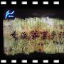 《女检察官手记》30集全[MP3]