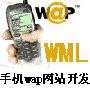 《WML开发手机WAP网站入门视频教程》(WML development of wap site video)[压缩包]