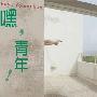 《中国皇室秘方大全》(王振国)扫描版[PDF]