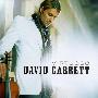 David Garrett 戴维·嘉雷特 -《艺术鉴赏家》(Virtuoso)[MP3]