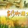 《台湾脚逛大陆》(Taiwan Foot)更新至2010.01.01.云南系列4～花腰傣婚礼(徐爱心[RMVB]