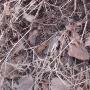 Seagulllory -《Jungle Bath And Winter Festival Party》320K[MP3]
